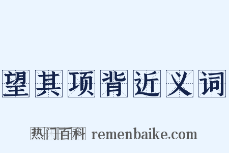 望其项背近义词是什么意思的图片